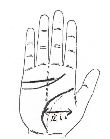 金星丘の幅が広く、感情線の上にもうひとつあり二重感情線になっている。活力があり、パワフルで我慢強く努力家。四角張った大きな手。手の平も肉厚で盛り上がっている。一気にとはいきませんが着実に発展し、最後に大きな成功をする人。